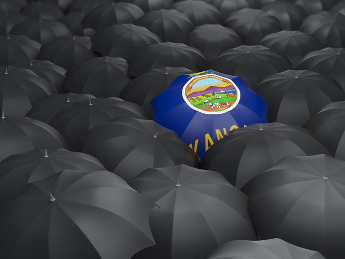 kansas state flag on umbrella in crowd