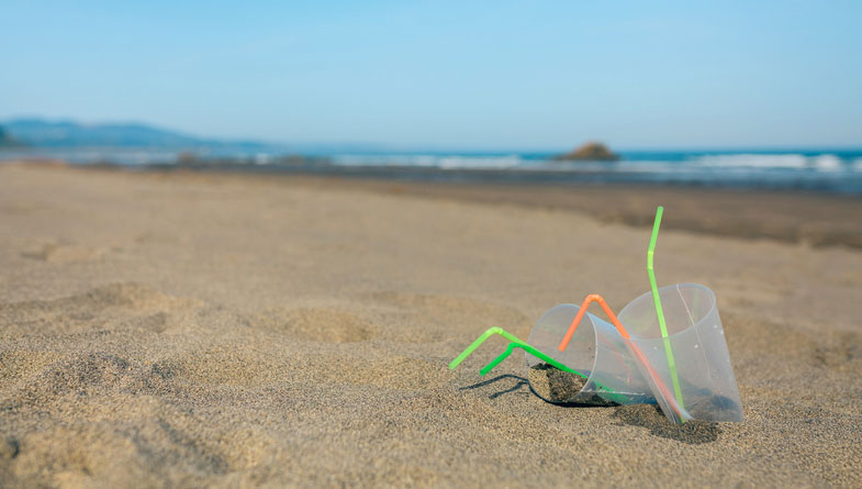 empty party cups on the beach