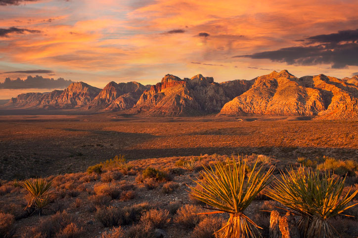 nevada desert