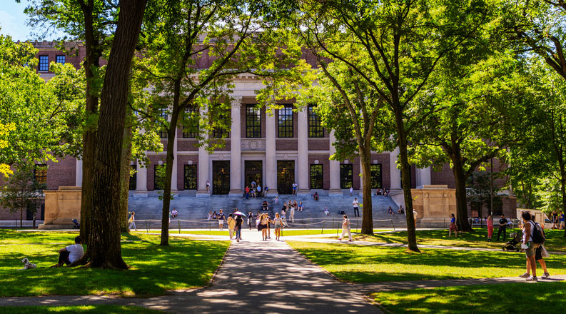 harvard yard